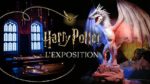 Harry Potter Exposition