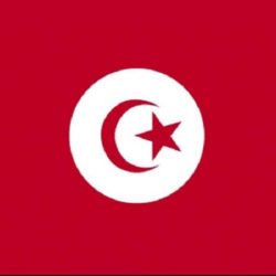 La Tunisie est un pays d’Afrique du Nord, situé sur la rive sud de la mer Méditerranée. C’est le plus petit des États du Maghreb, mais aussi l’un des plus diversifiés sur le plan géographique, culturel et historique.