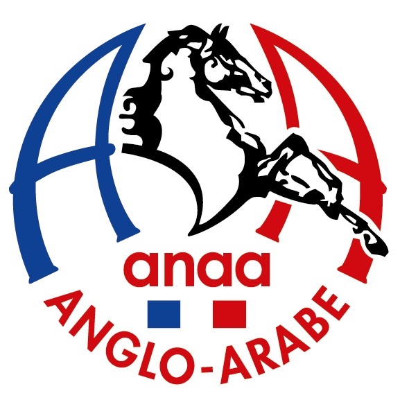 Depuis 1978, L’ANAA est au service de la race Anglo-Arabe. Association agréée par le Ministère de l’Agriculture, elle est accompagnée par l'institut Français du Cheval et de l'Equitation.