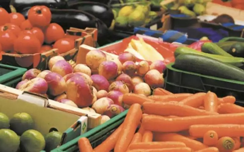 Hausse des exportations marocaines des fruits et légumes