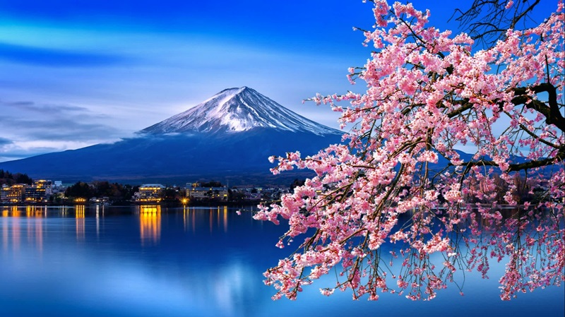 Le Japon est un pays insulaire situé en Asie de l’Est, entre l’océan Pacifique et la mer du Japon.