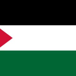 L’Organisation de libération de la Palestine (OLP) est une organisation politique et paramilitaire qui représente les Palestiniens, un peuple arabe qui a perdu une grande partie de son territoire avec la création de l’État d’Israël en 1948.