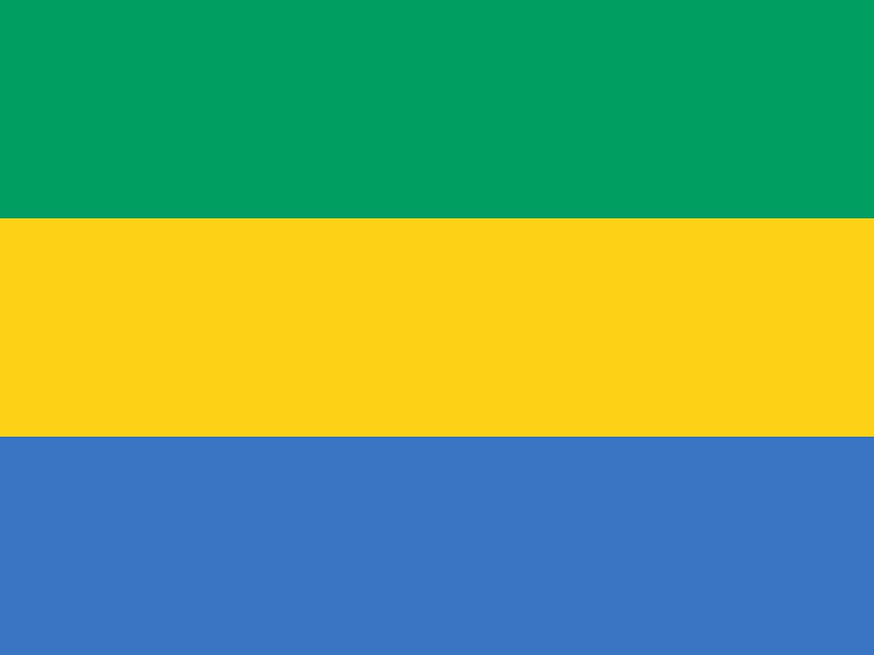 Le Gabon est un pays d’Afrique centrale, situé sur la côte atlantique. Il est bordé par la République du Congo au sud et à l’est, la République centrafricaine au nord et le Cameroun au nord-ouest. La capitale du pays est Libreville, située sur la côte atlantique.